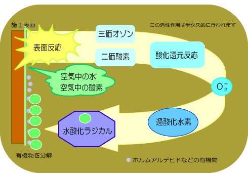 酸化還元作用と活性作用のしくみ